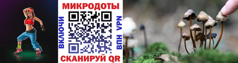 Галлюциногенные грибы Magic Shrooms MEGA зеркало Светлогорск